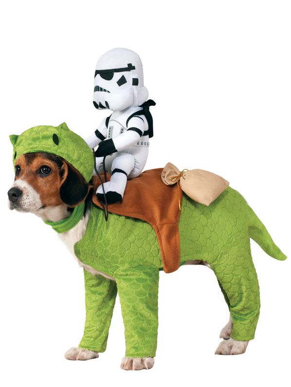 Bb8 dog costume top