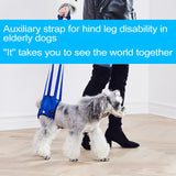 Adjustable Dog Lift Harness for Back Legs