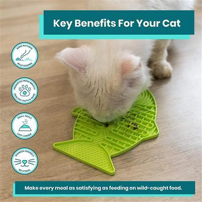 Cat Supplies