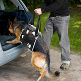Adjustable Dog Lift Harness for Back Legs