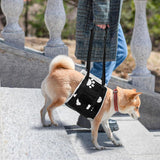 Adjustable Dog Lift Harness for Back Legs