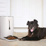 Automatic Pet Food Dispenser for Cats and Dogs