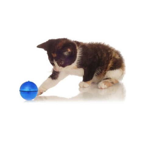 Wicked Ball for all Pets