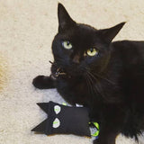 Black Catnip Cat