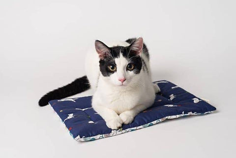 Crochet Kitty Catnip Yoga Mat