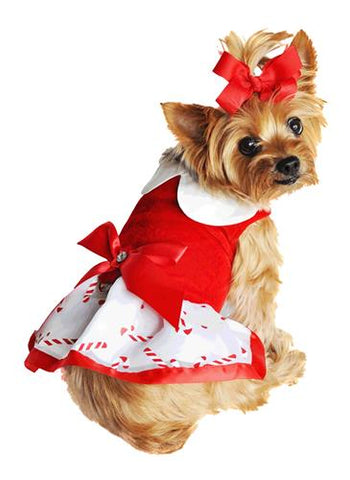 Christmas Candy Cane Rhinestone Dress with D Ring and Leash