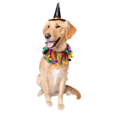 Halloween Hat & Collar Set