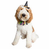 Halloween Hat & Collar Set