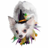 Halloween Hat & Collar Set