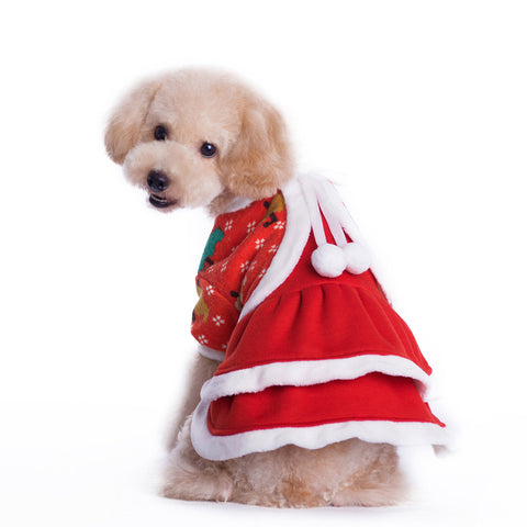 Puppy Mrs Santa Dress