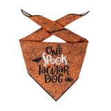 Halloween Dog Bandanas