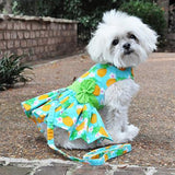 Pineapple Luau Dress with Leash & D-Ring - XS-L