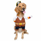 Pirate Dog & Cat Costume