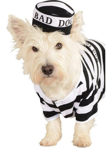 Prisoner Pet Costume