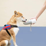 Instachew Rover Pet Travel Water Bottle