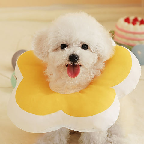 Flower Shaped Adjustable Anti-Lick Soft Neck Collar for Cats & Dogs