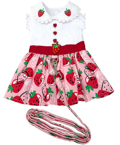 Strawberry Picnic Dress with Matching Leash