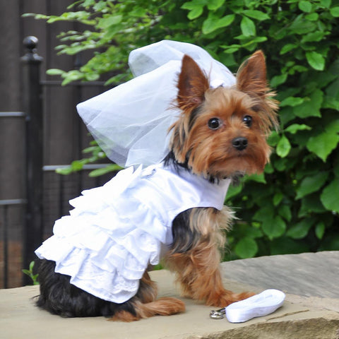 White Satin Wedding Dress, Headpiece, Leash & D-Ring