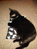 Crochet Kitty Refillable Catnip Yoga Mat