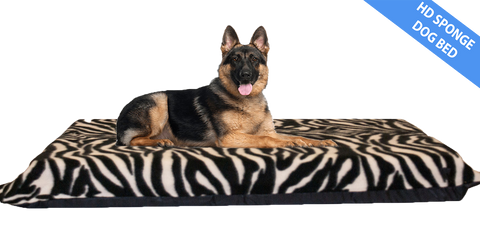 Zebra Print Dog Bed 4" Thick Foam Mattress w/ Removable Fleece Cover