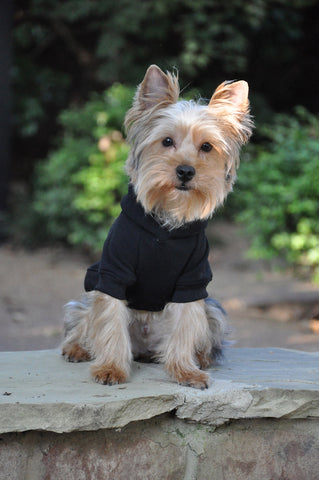 Flex-Fit Dog Hoodie - Black