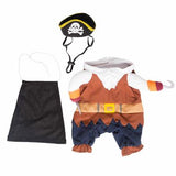 Pirate Cat and Small Dog Costume