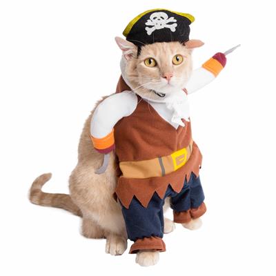 Pirate Cat and Small Dog Costume