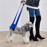 Adjustable Dog Lift Harness for Back Legs