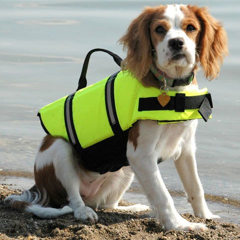 Dog Life & Safety Vest for Swimming