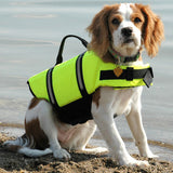 Dog Life & Safety Vest for Swimming