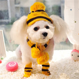 Winter Pet Puppy Accessories For Dogs Knitted Striped Hats Scarf Socks Little Small Big Animals Yorkshire Chihuahua Cat Products