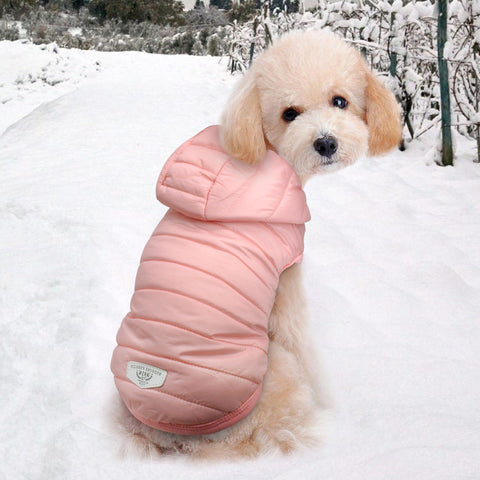 Warm Winter Jacket