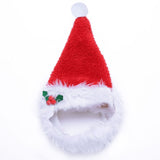 Christmas Pet Santa Hat