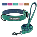 Personalized Leather Padded Dog Collar and Leash