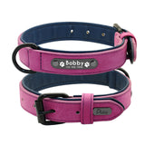 Personalized Leather Padded Dog Collar and Leash