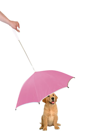Pink Umbrella With Reflective Lining And Leash Holder