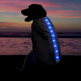 Cloth Dog LED Vest - Blue